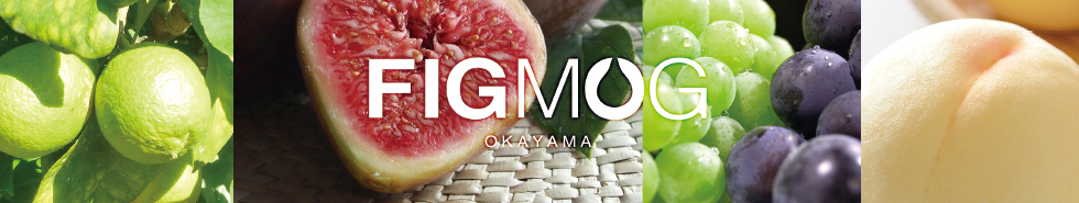 Expanding smiles in daily life. FIGMOG OKAYAMA JAPAN